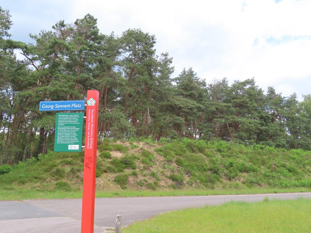 Brueggen (21)